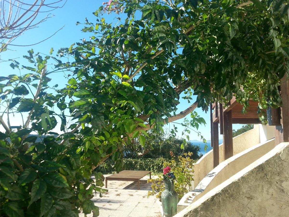 La Coccinelle Aparthotel Ile du Levant Luaran gambar